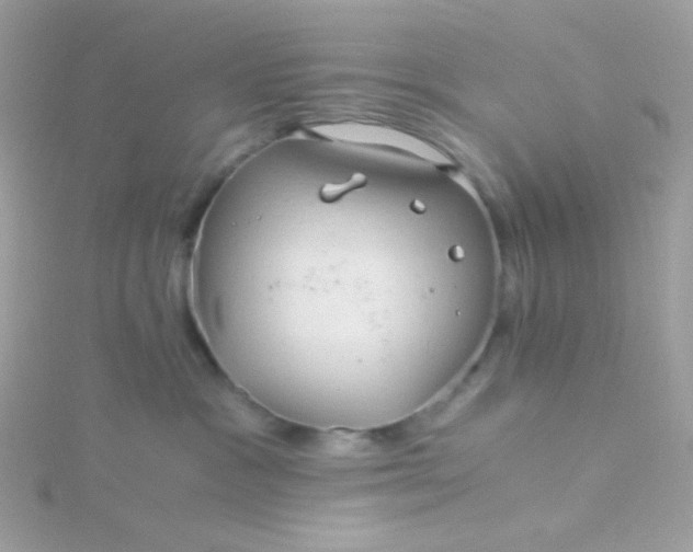 X0000115820333200911271143