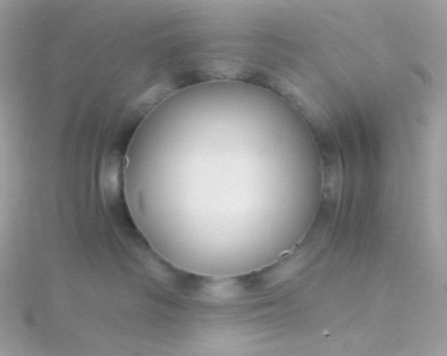 X0000115820334200911271143