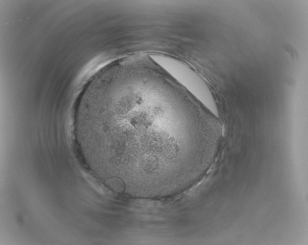 X0000115820339200911271142