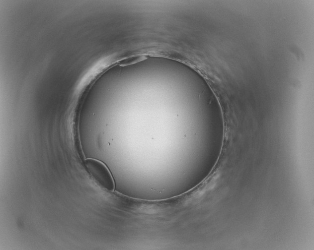 X0000115820341200911271142