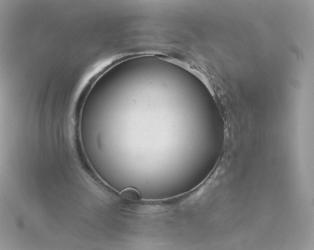 X0000115820342200911271142