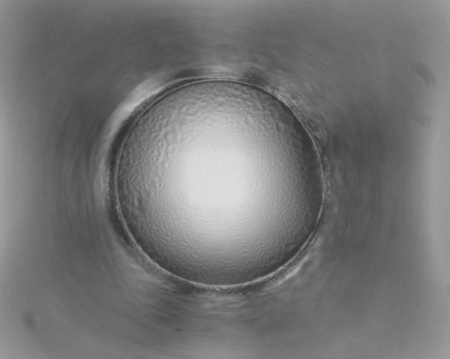 X0000115820343200911271142