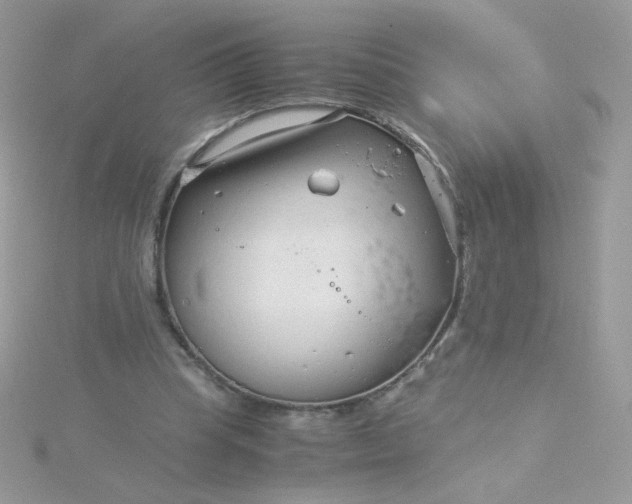 X0000115820345200911271142