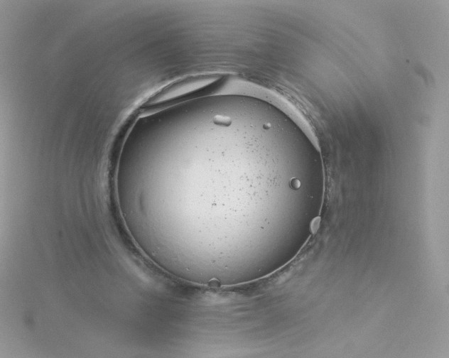 X0000115820346200911271142