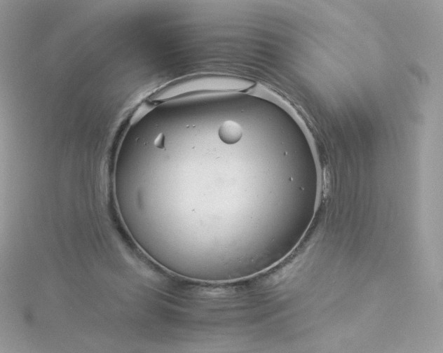 X0000115820349200911271142