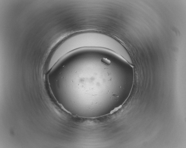 X0000115820350200911271142