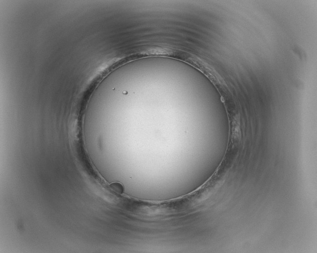 X0000115820351200911271142