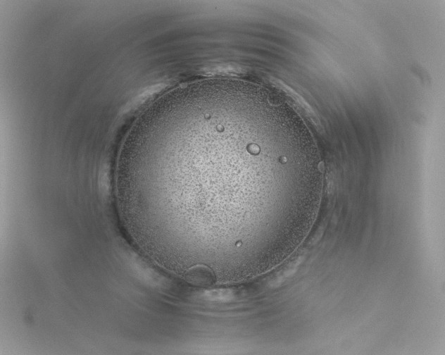 X0000115820353200911271142