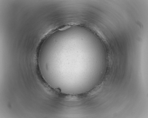 X0000115820354200911271142