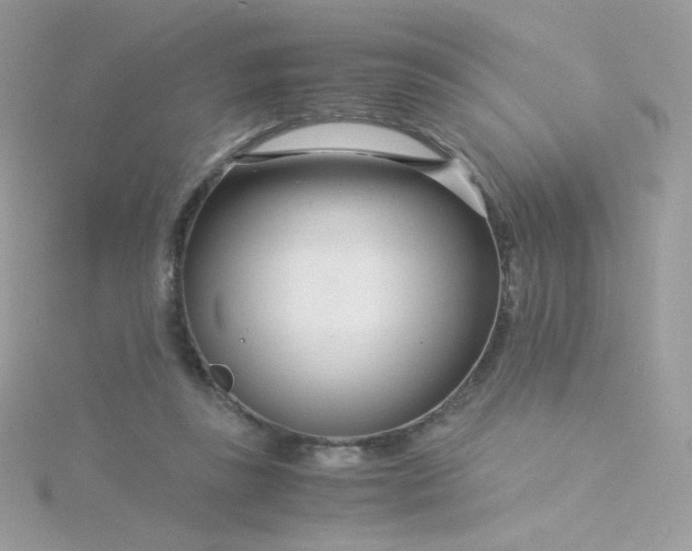 X0000115820355200911271142