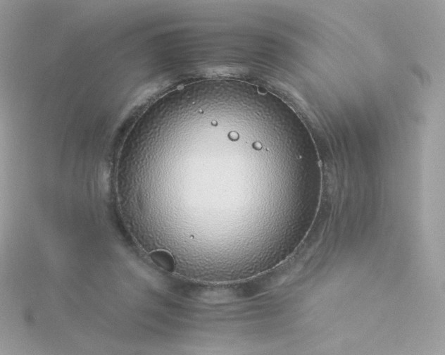 X0000115820357200911271142