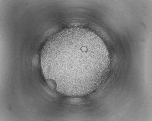 X0000115820361200911271142