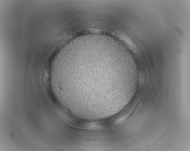 X0000115820365200911271143