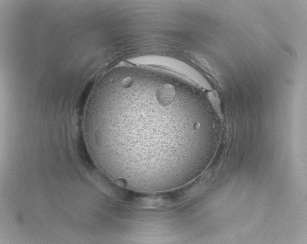 X0000115820366200911271143