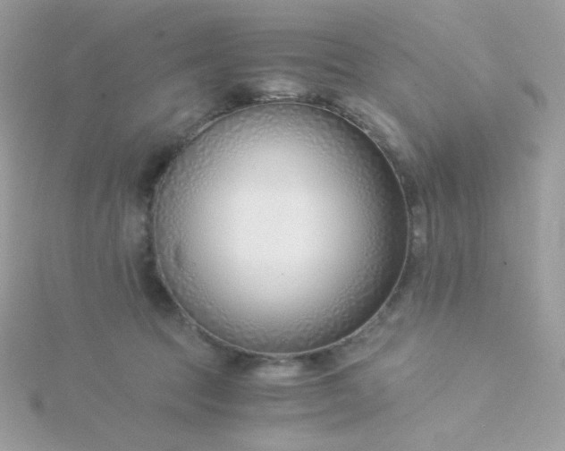 X0000115820369200911271143