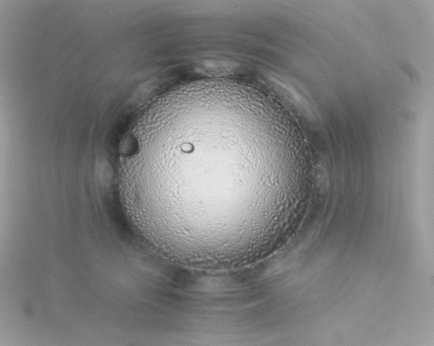 X0000115820371200911271143