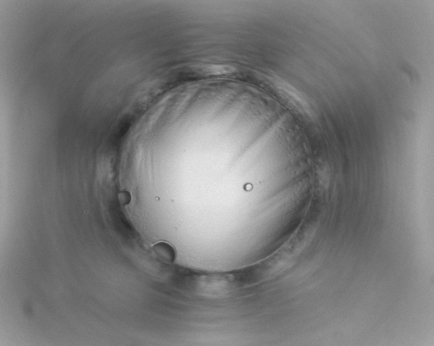 X0000115820373200911271143