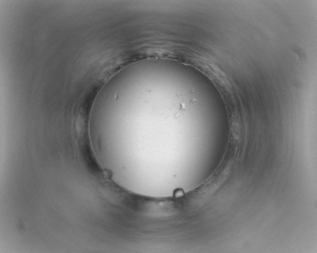 X0000115820375200911271143