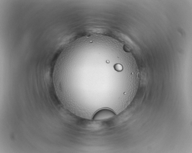 X0000115820377200911271143