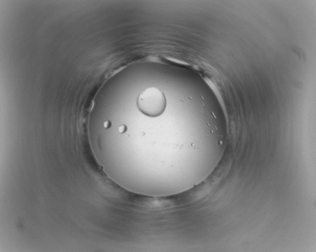 X0000115820379200911271143