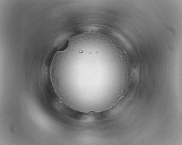 X0000115820381200911271143