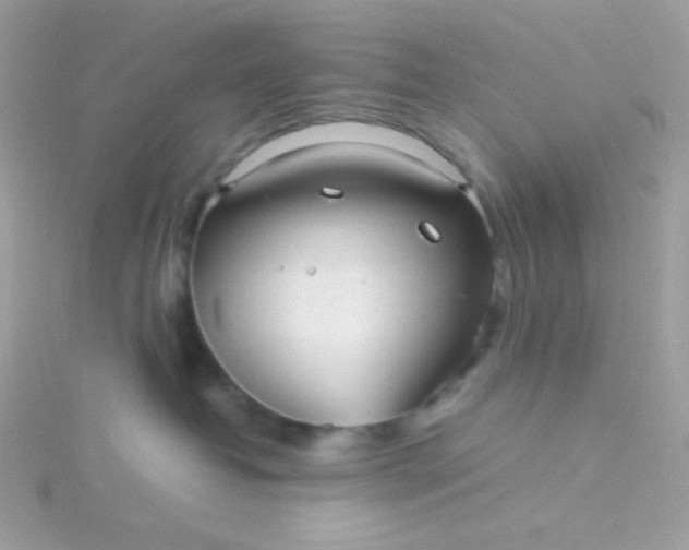 X0000115820382200911271143