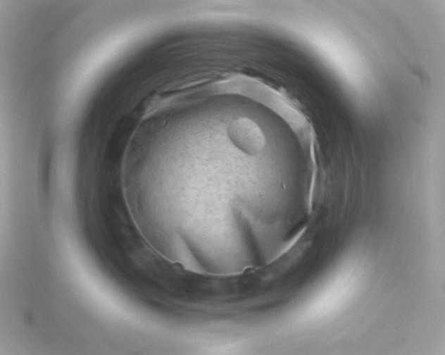 X0000115820383200911271143