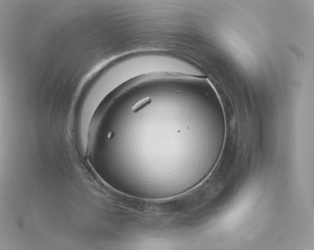 X0000115820388200911271142