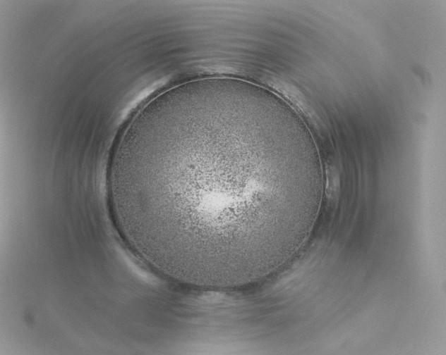 X0000115820390200911271142