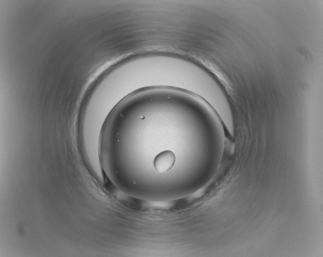 X0000115820391200911271142