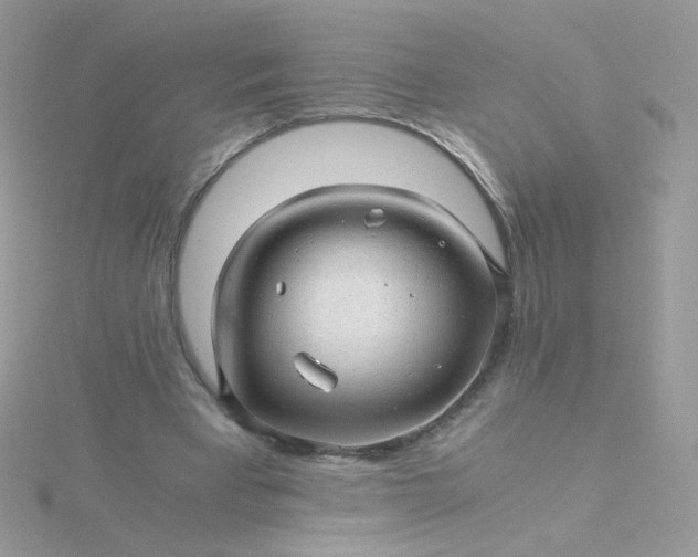 X0000115820393200911271142