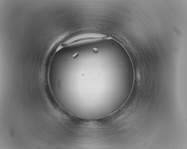 X0000115820396200911271142