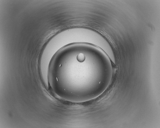 X0000115820397200911271142