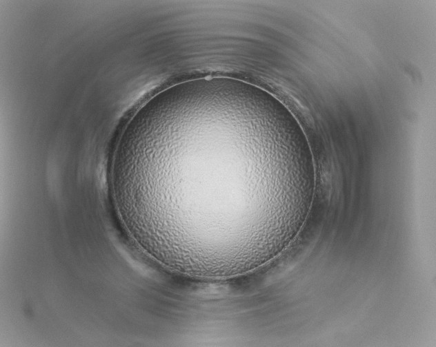 X0000115820398200911271142