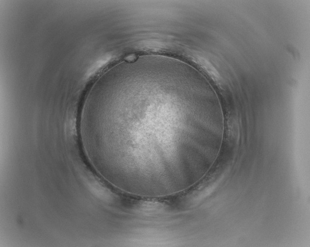 X0000115820399200911271142