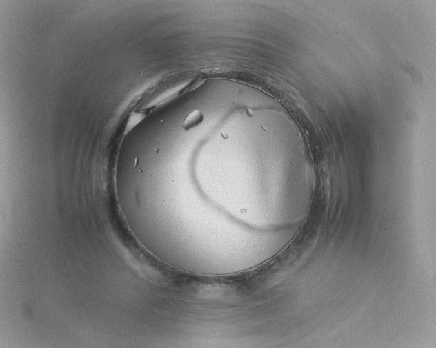 X0000115820400200911271142