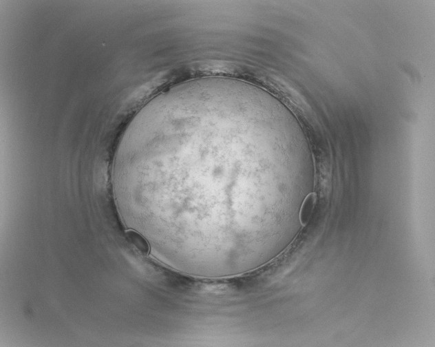 X0000115820401200911271142