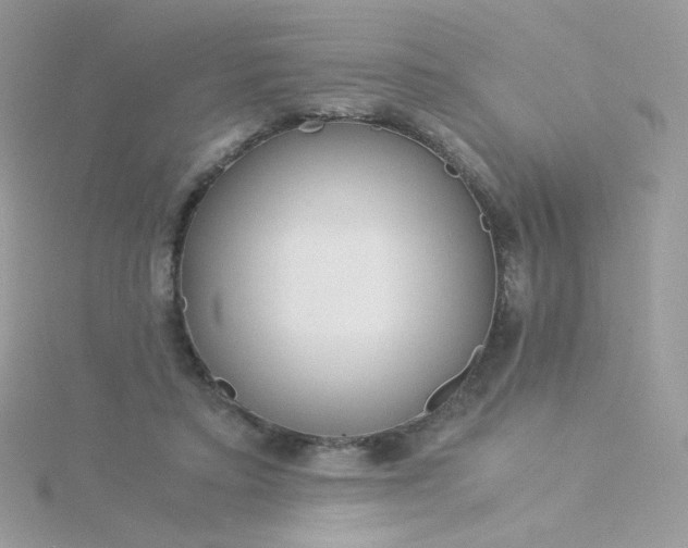 X0000115820403200911271142