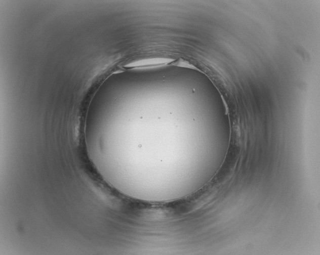 X0000115820404200911271142