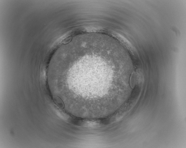 X0000115820405200911271142