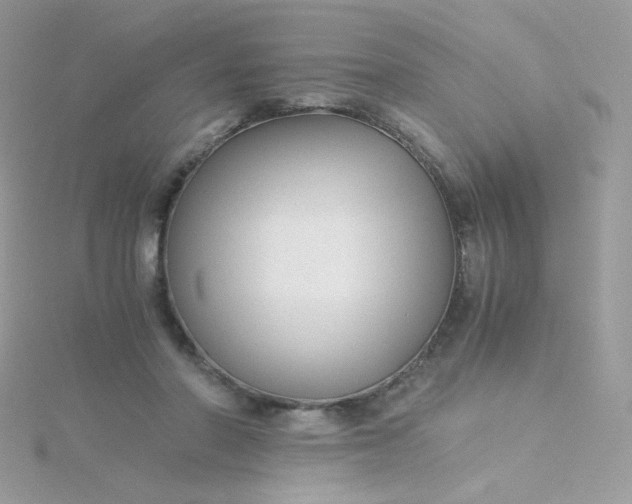 X0000115820406200911271142