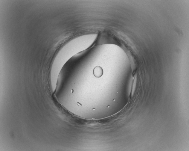 X0000115820407200911271142