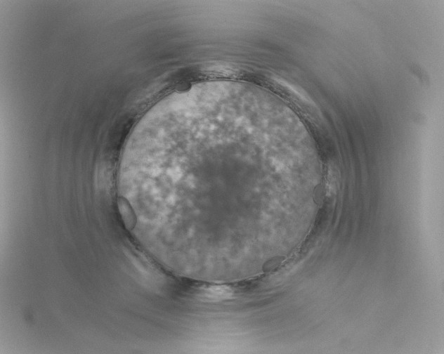 X0000115820409200911271142