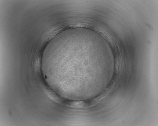 X0000115820410200911271142