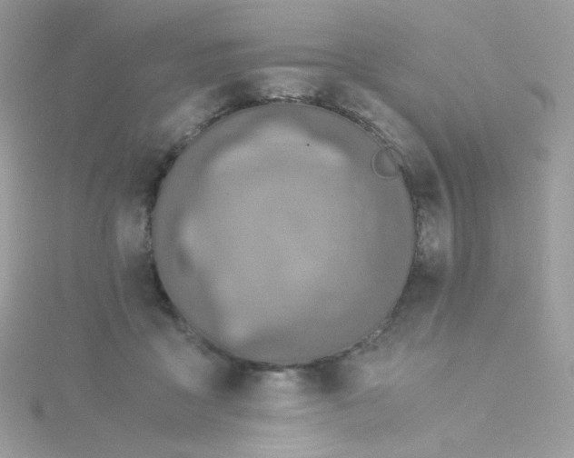 X0000115820411200911271142