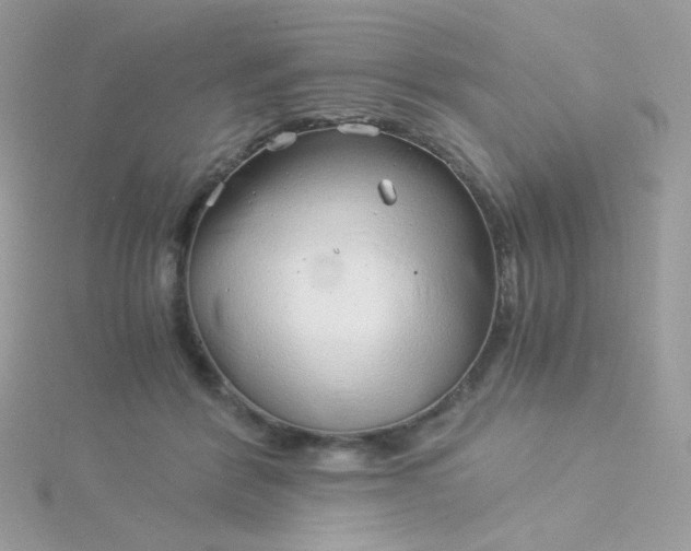 X0000115820412200911271142