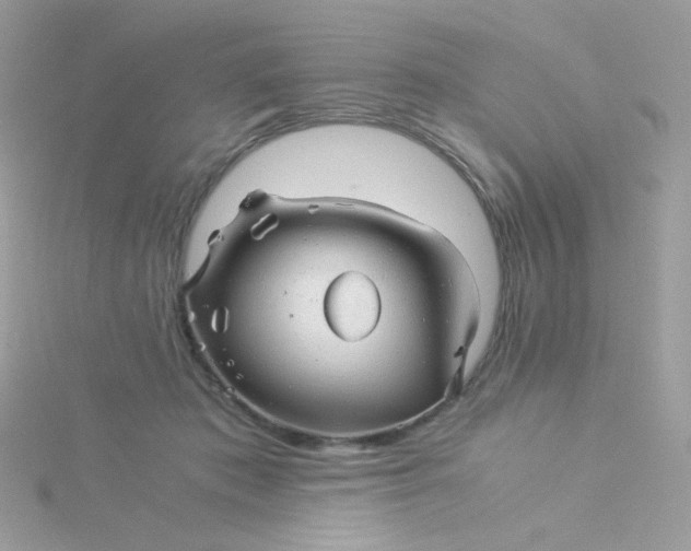 X0000115820413200911271142