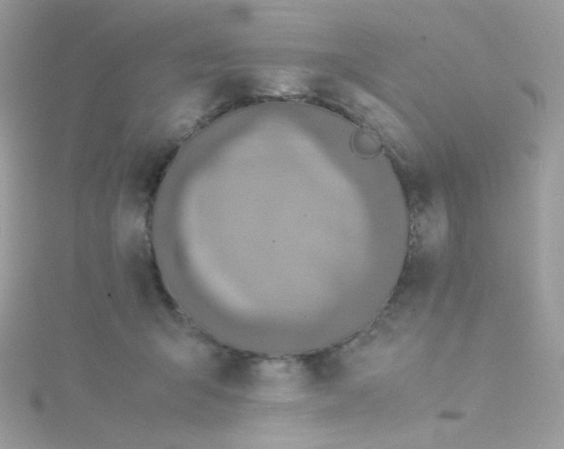 X0000115820415200911271142