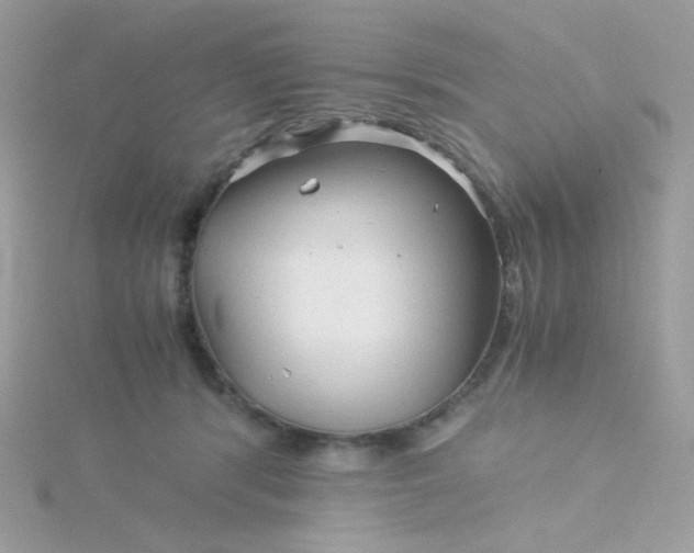 X0000115820416200911271142