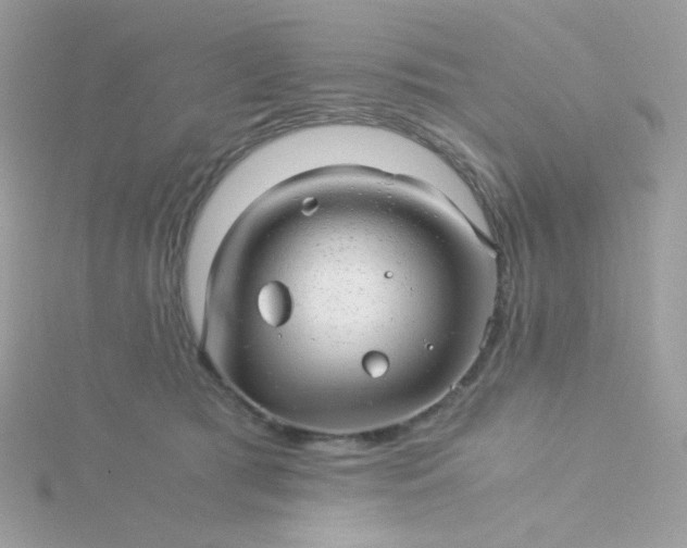 X0000115820417200911271142